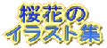 桜花の イラスト集